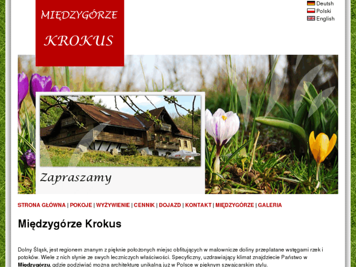 www.miedzygorze-krokus.pl