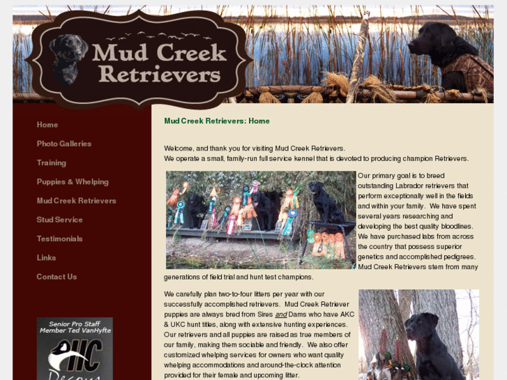 www.mudcreekretrievers.com