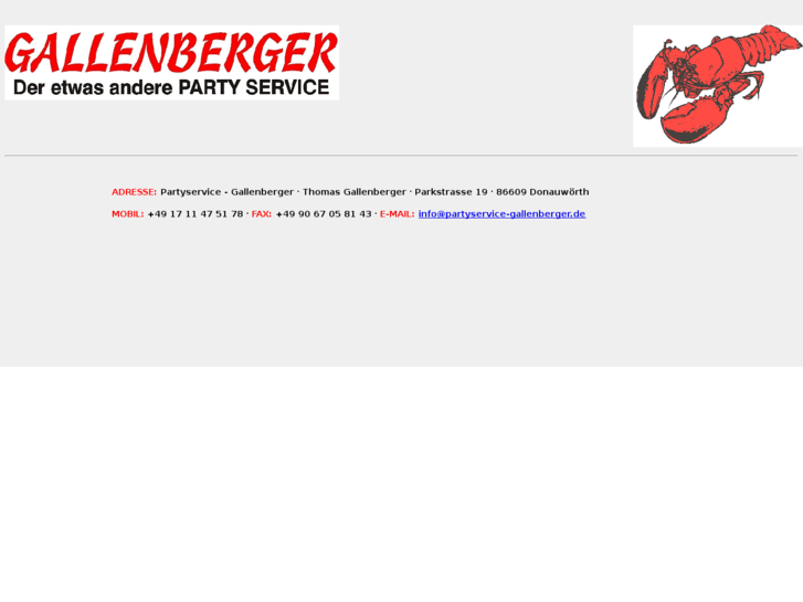 www.partyservice-gallenberger.com