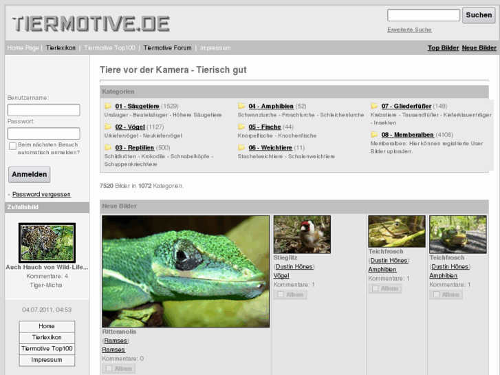 www.tiermotive.de