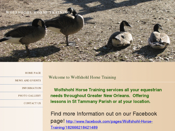 www.wolfshohlhorsetraining.com