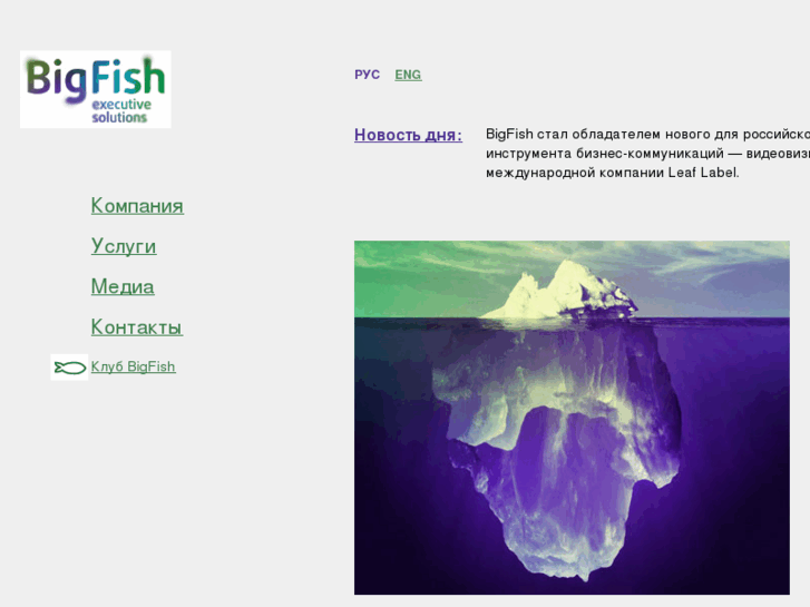 www.bigfishexecutives.com