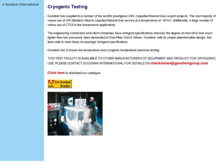 www.cryogenictest.com