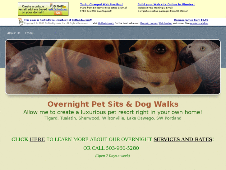 www.overnightpetsitter.com