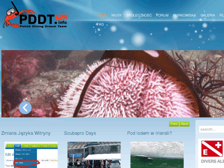 www.pddt.info