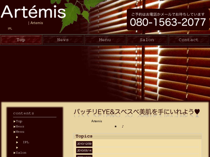 www.salon-artemis.com