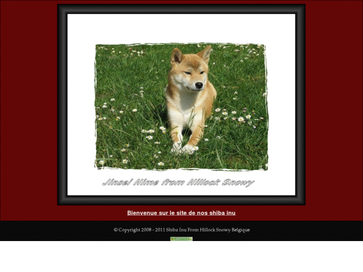 www.shibafromhillocksnowy.com