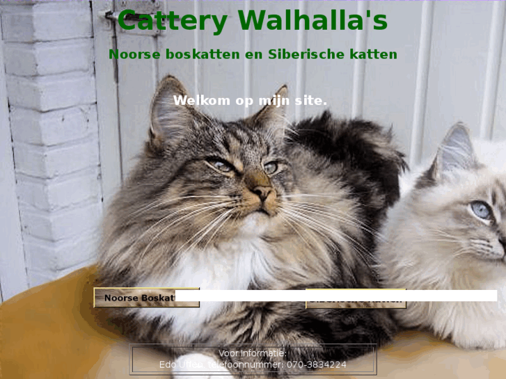 www.walhallas.nl