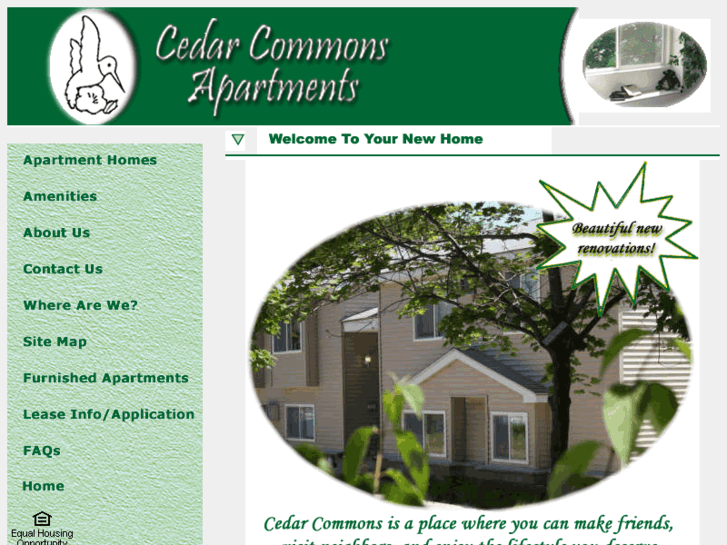 www.cedarcommonsapt.com