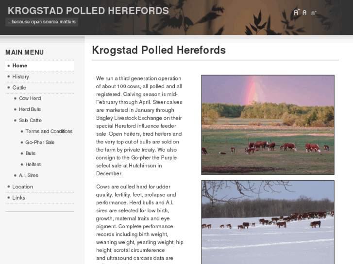 www.krogstadpolledherefords.com