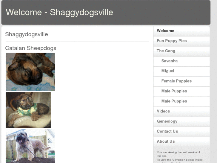 www.shaggydogsville.com