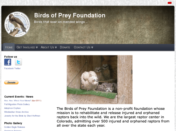 www.birds-of-prey.org