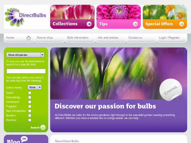 www.directbulbs.com