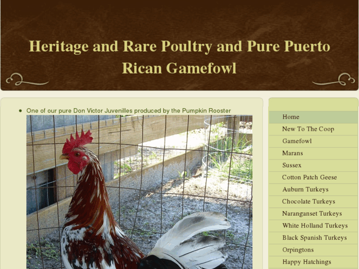 www.heritagerareandexoticpoultryandqualitygamefowl.com