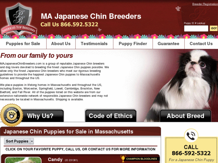 www.majapanesechinbreeders.com