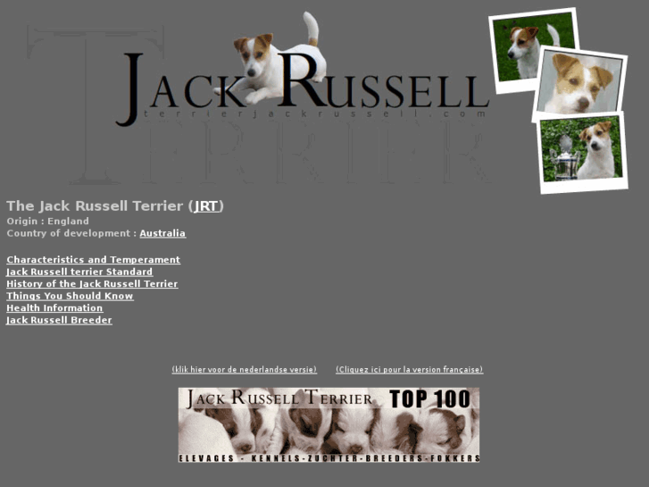 www.terrierjackrussell.com