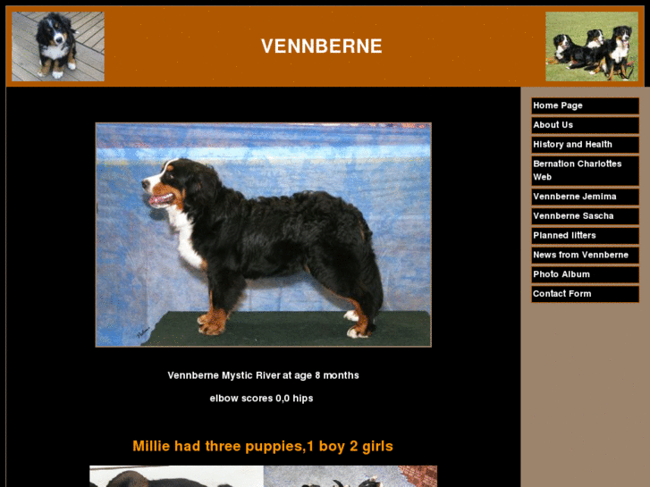 www.vennbernebernesemountaindogs.com