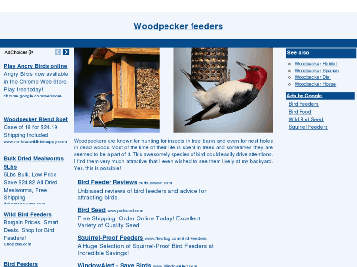 www.bestwoodpeckerfeeders.com