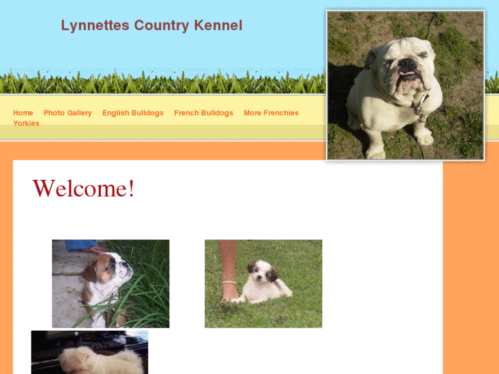 www.luvmycountrykennel.com