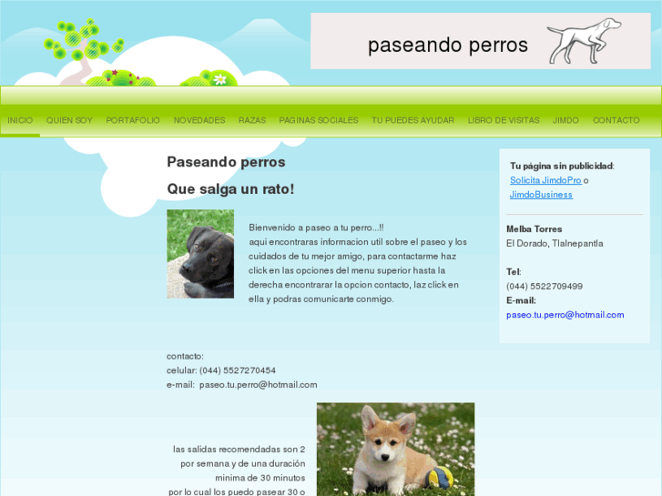 www.paseoatuperro.com