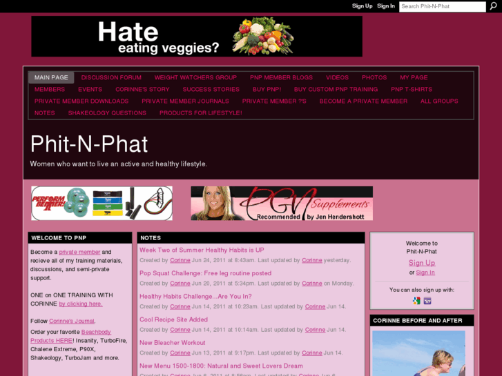 www.phit-n-phat.com