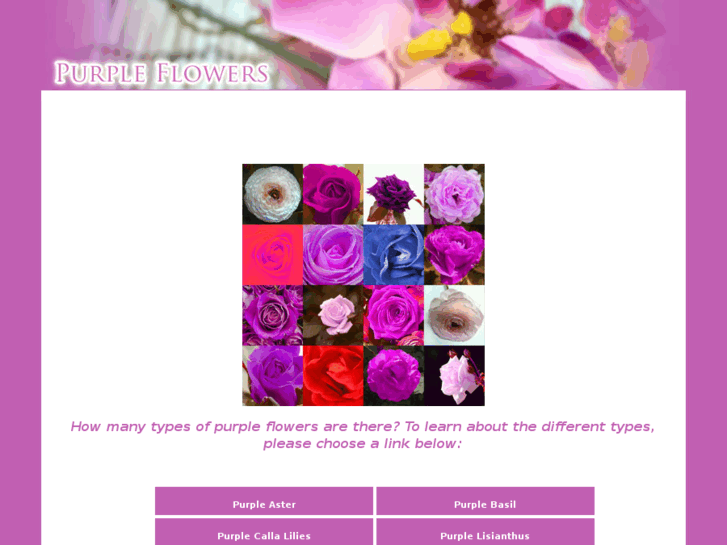 www.purple-flowers.com