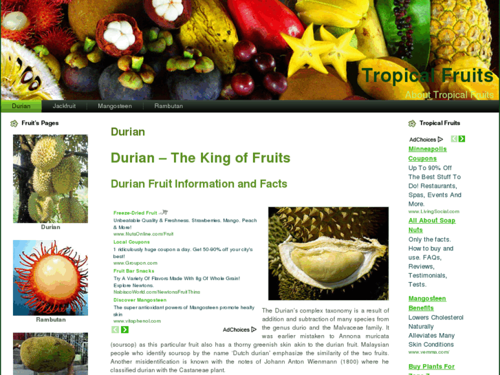 www.tropical-fruits.biz