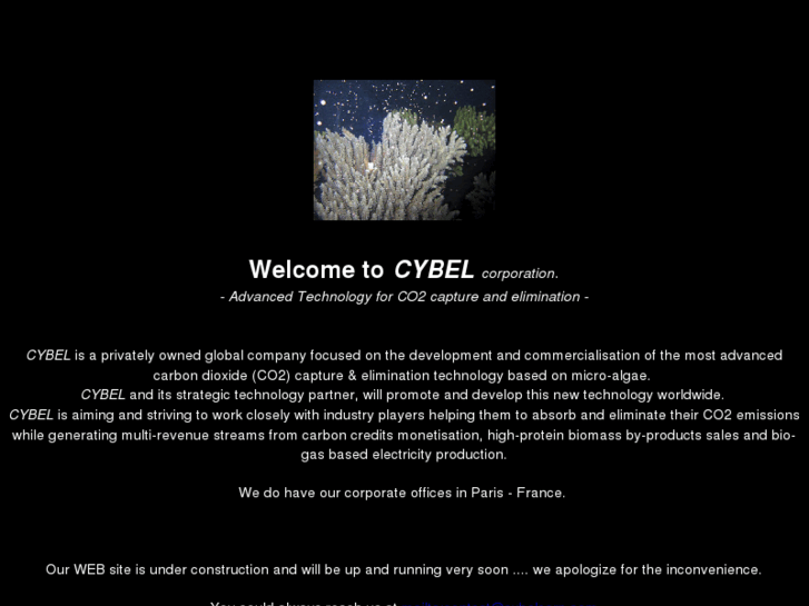 www.cybelcorp.com