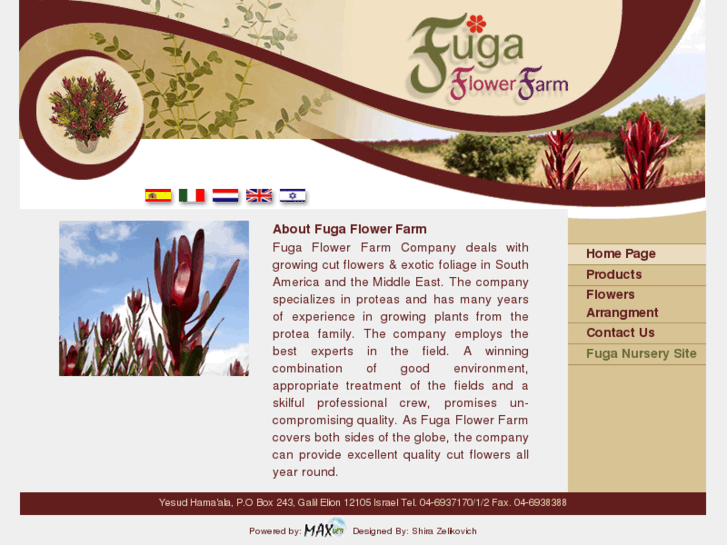 www.fuga-flowers.com