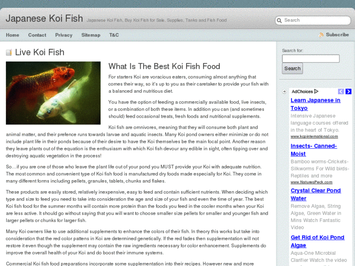 www.japanese-koi-fish.com