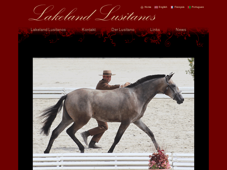 www.lakeland-lusitanos.ch