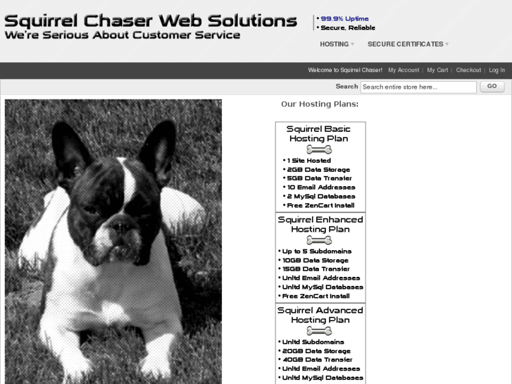 www.squirrelchaserwebsolutions.com