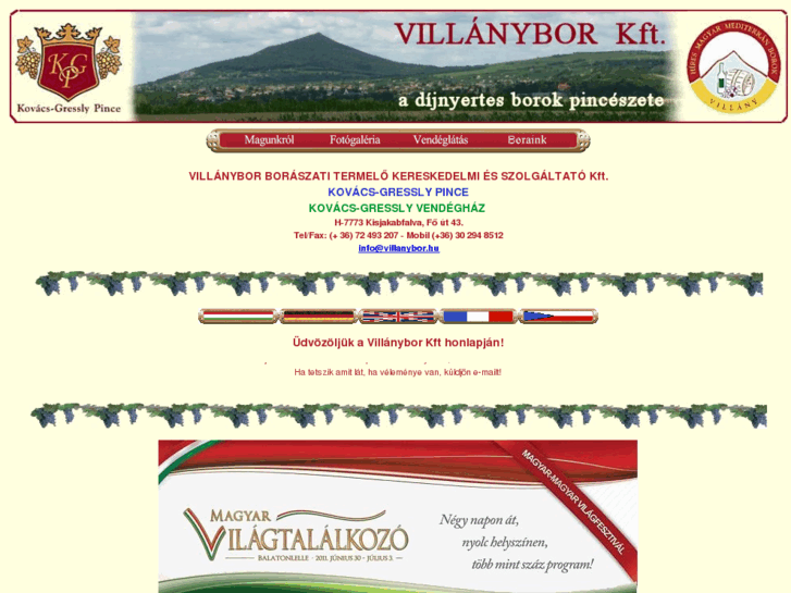 www.villanybor.hu