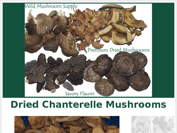 www.chanterelle-mushrooms.com