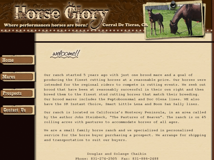 www.horseglory.com