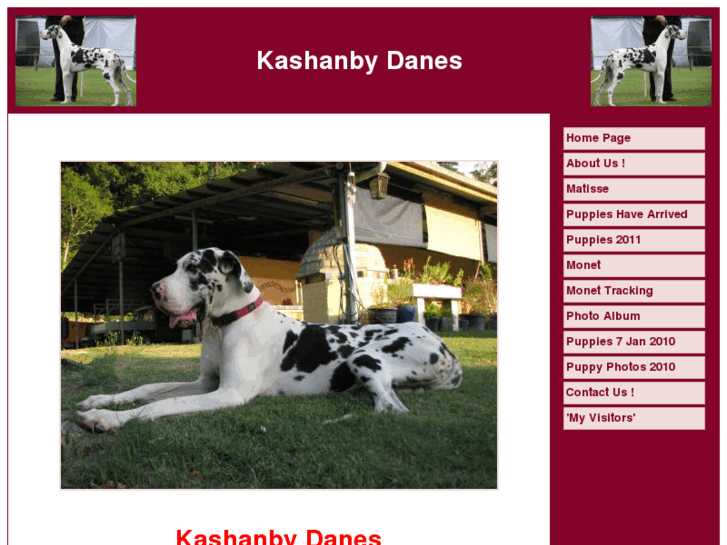 www.kashanbydanes.com