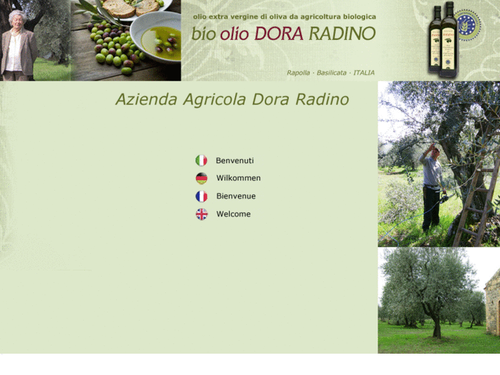 www.dora-radino.com