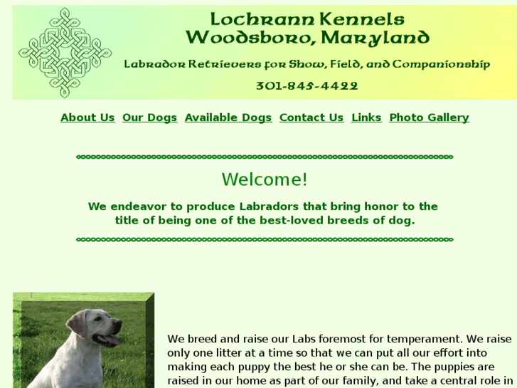 www.lochrann.com