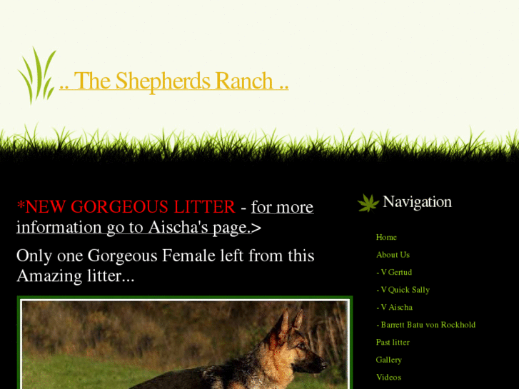 www.theshepherdsranch.com