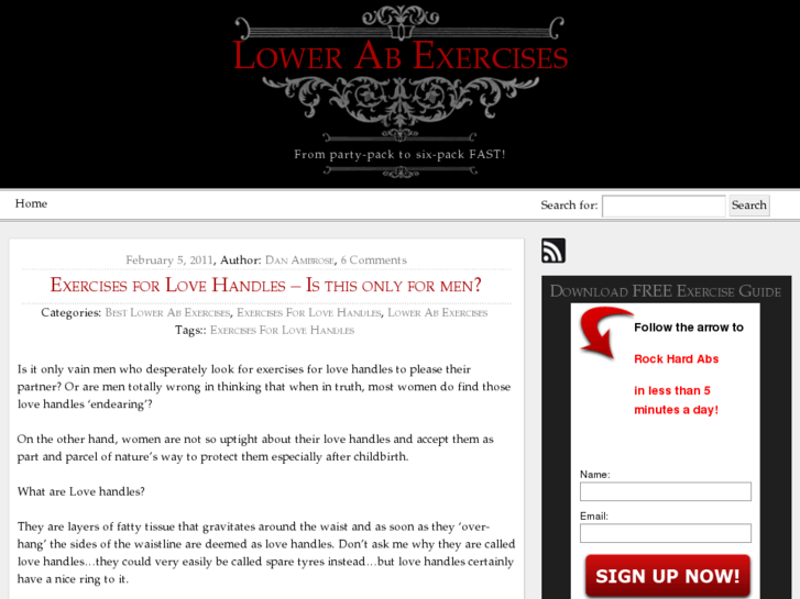 www.bestlowerabexercises.net