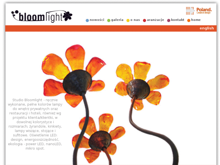 www.bloomlight.pl