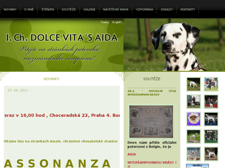 www.dalmi-aida.cz