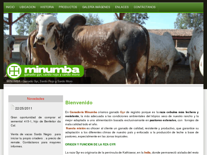 www.minumba.com