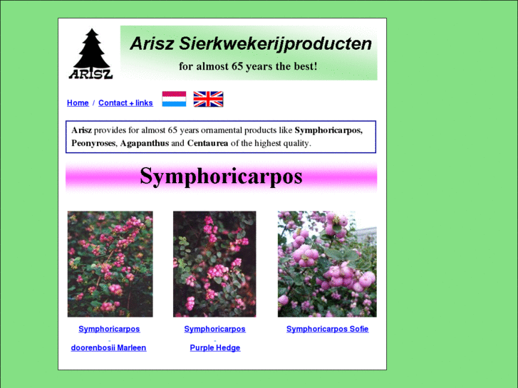 www.symphoricarpos.com