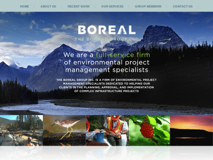 www.theborealgroup.com