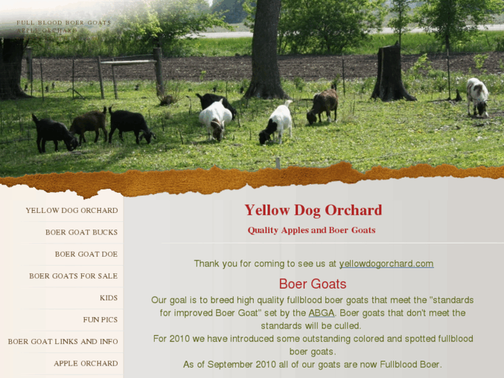 www.yellowdogorchard.com