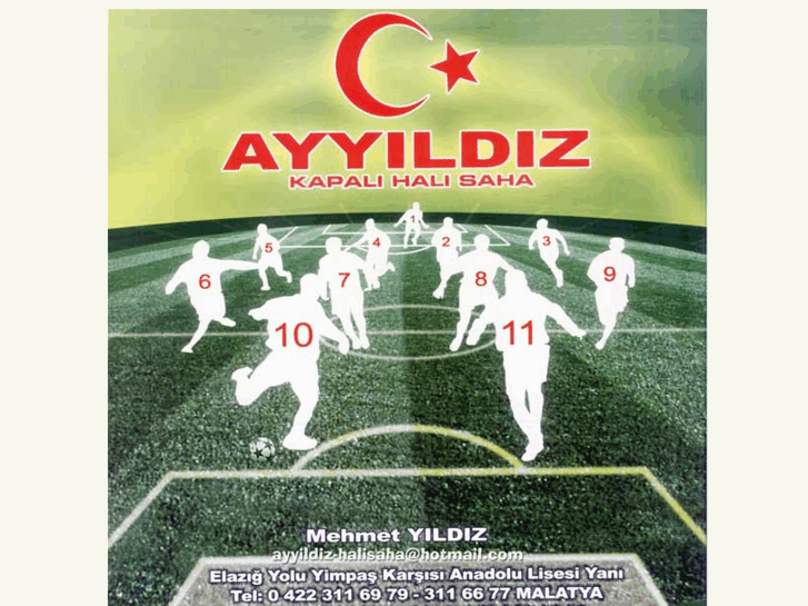 www.ayyildizhalisaha.com