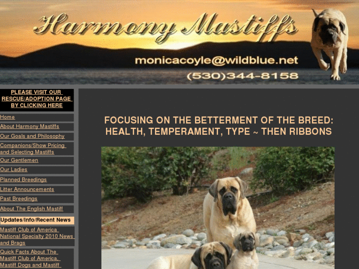 www.harmonymastiffs.net