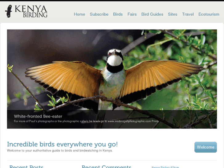 www.kenyabirding.org