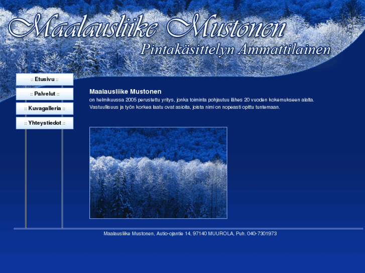 www.maalausliikemustonen.com